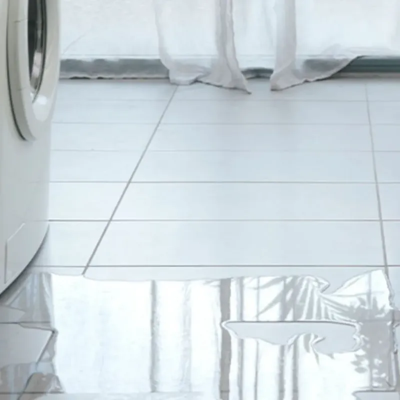 Appliance Leak Cleanup in McGregor, FL