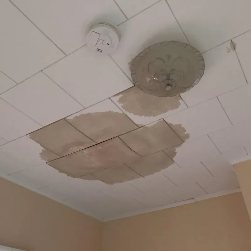 Ceiling Water Damage Repair in McGregor, FL
